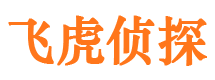 曾都侦探公司